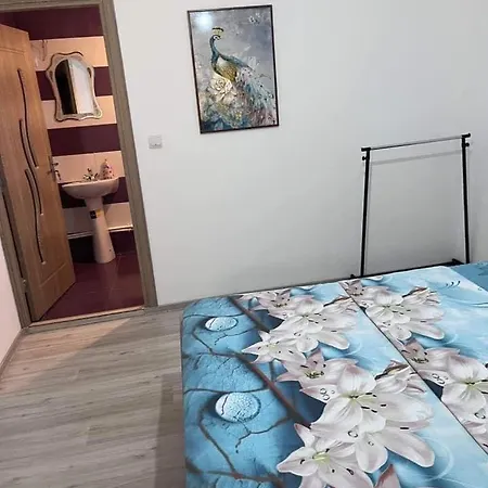 Eforie Nord Gazde/Camere de închiriat *